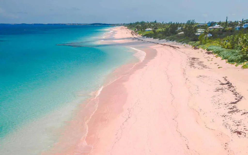 Pink Sands Beach