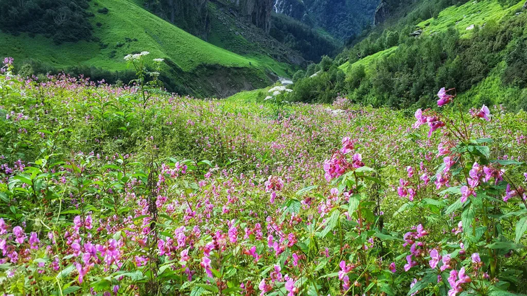15 Tempat Wisata Terindah di Dunia yang Wajib Masuk Daftar Liburan Anda