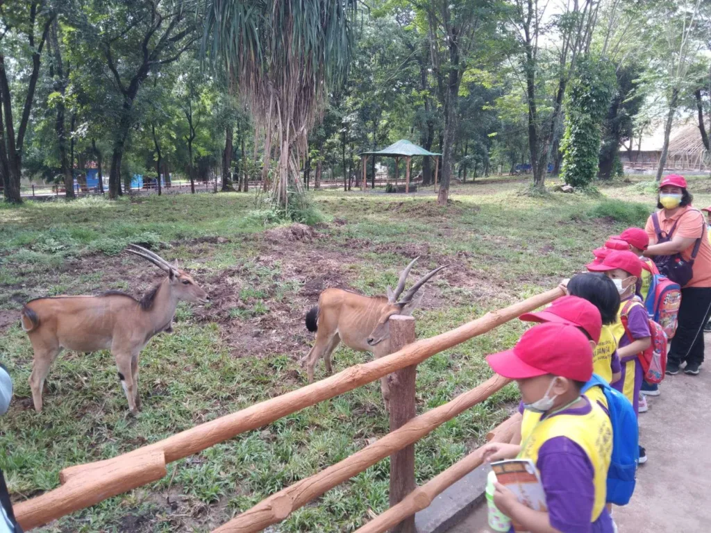 Taman Satwa Taru Jurug