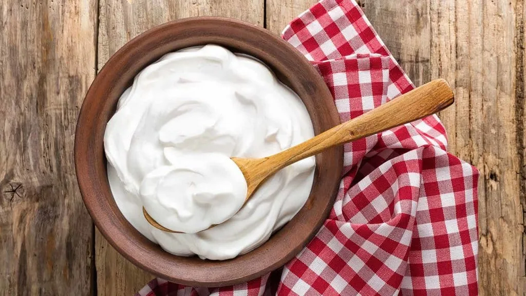 Yogurt Rendah Lemak